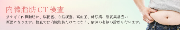 内臓脂肪CT
