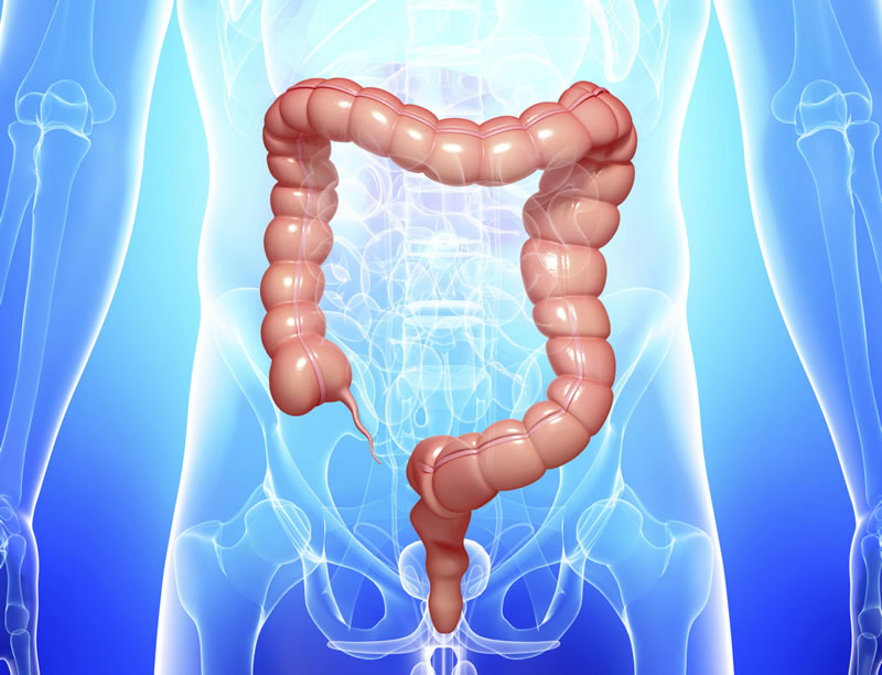 最新の大腸3D-CT検査