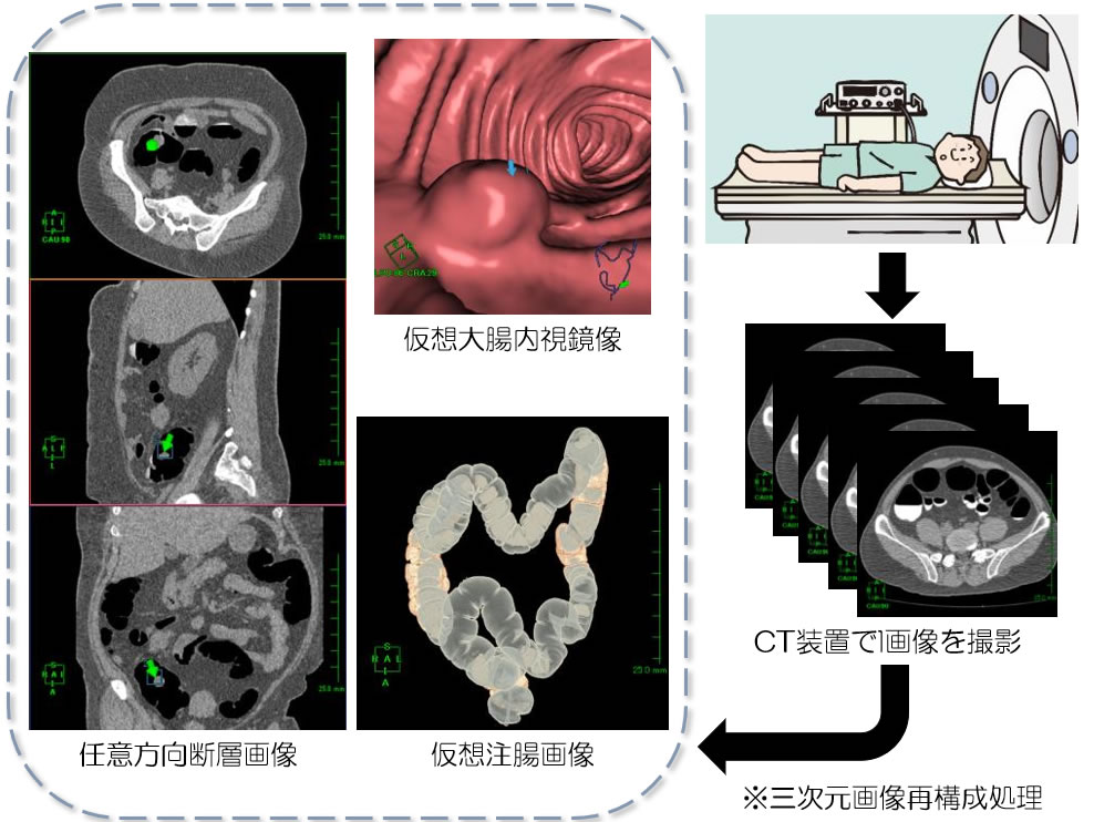 撮影画像